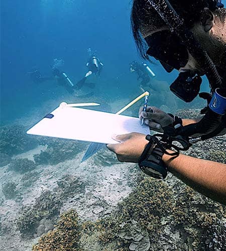 Tuffo subacqueo con biologi marini, esplorando la barriera corallina e la fauna marina.