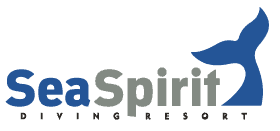 Logo Sea Spirit con balena, simbolo di impegno per la sostenibilità marina.