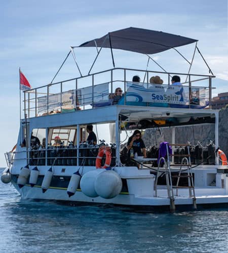 Barca turistica Sea Spirit con copertura superiore, ideale per escursioni marine e gite in mare.
