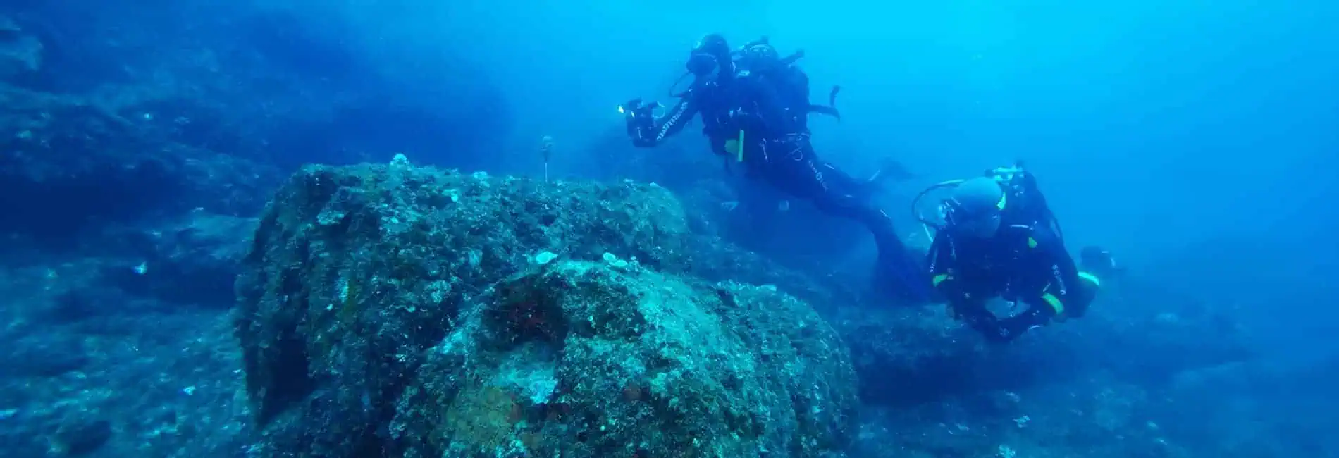 Immersione subacquea con Sea Spirit, esplorando i fondali marini durante un'avventura Padi.