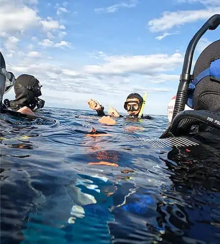 Immersione subacquea con attrezzatura professionale in mare aperto, esplorando il mondo sottomarino.