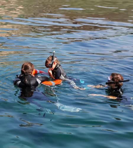 Immersione subacquea con istruttore in mare, attività di snorkeling e formazione subacquea.
