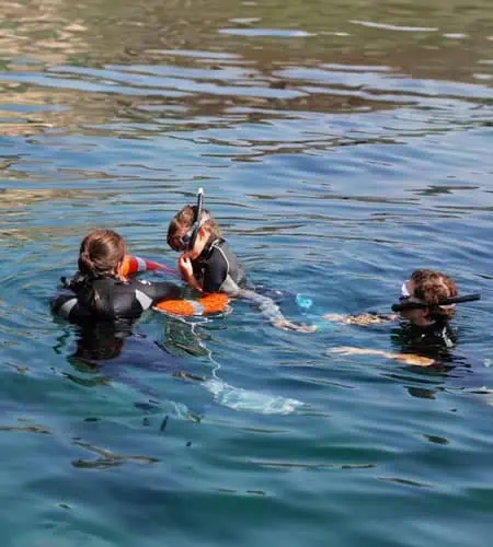 Immersione subacquea con istruttore in mare, attività di snorkeling e formazione subacquea.