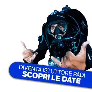 Immagine di un subacqueo con attrezzatura completa, pronto per esplorare il mondo marino.