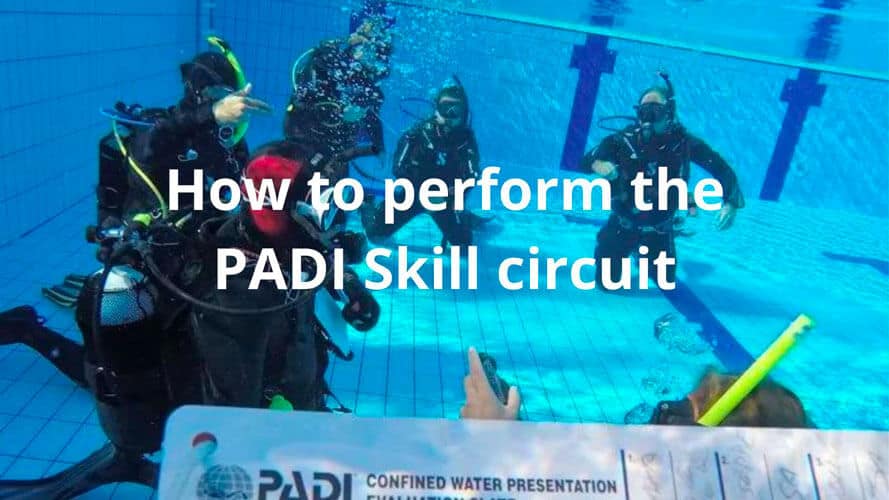 Gruppo di subacquei che eseguono il PADI Skill Circuit in piscina.