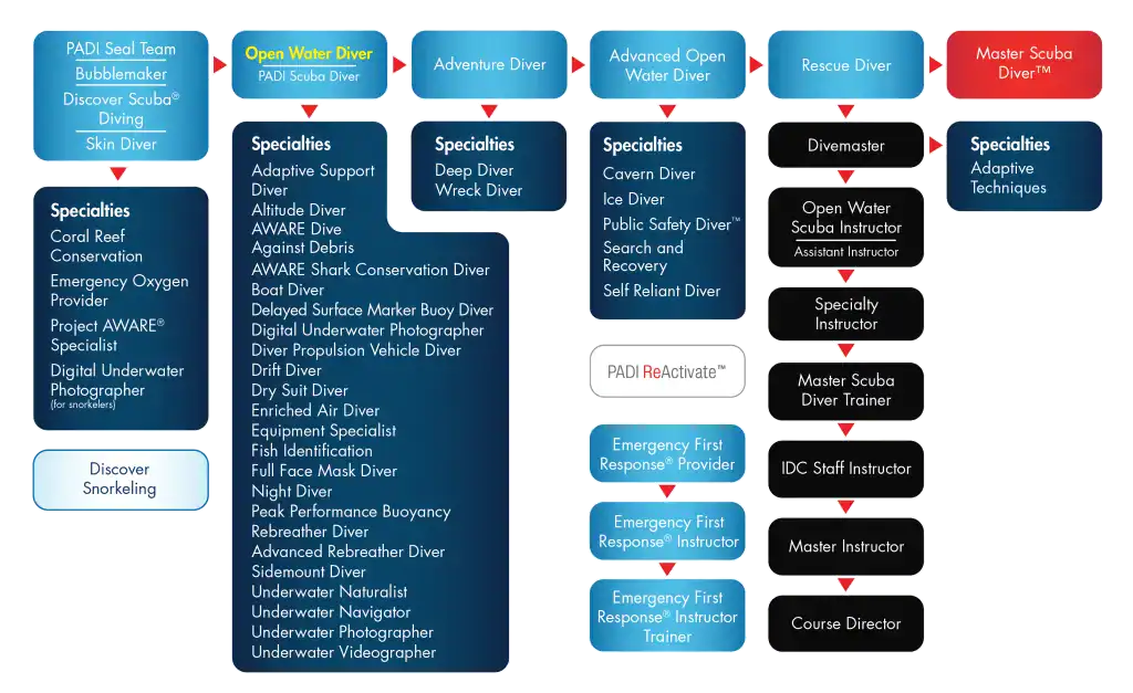 Immagine di un team di subacquei professionisti e attrezzature subacquee Sea Spirit.
